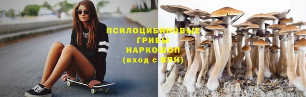 не бодяженный Алексин