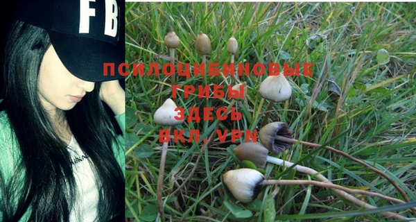 не бодяженный Алексин